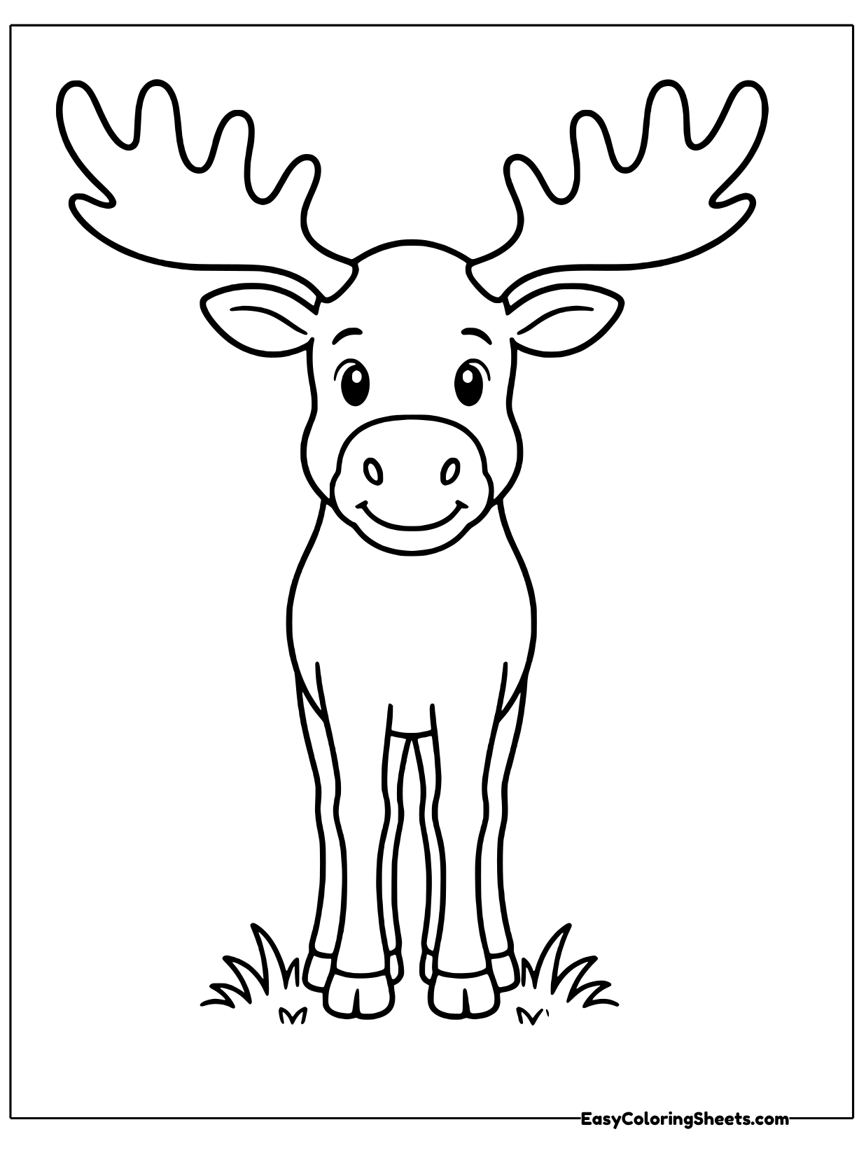 A moose stands facing the viewer with wide palm-shaped antlers, long legs and grass at its hooves.