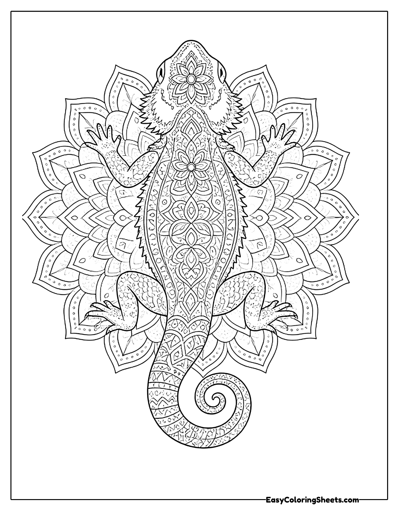 Bearded dragon mandala with patterned scales