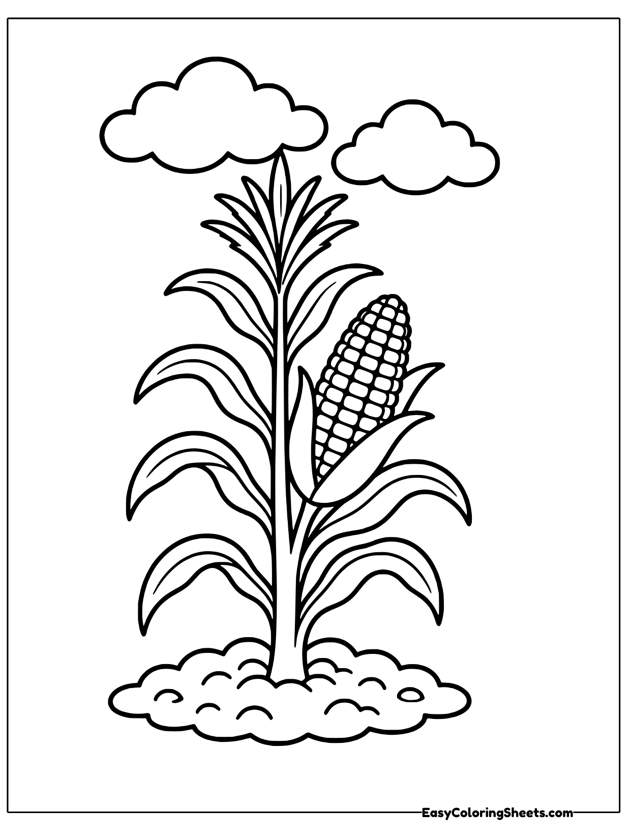 A tall corn stalk with long leaves holds an ear of corn on its side, with clouds floating above.