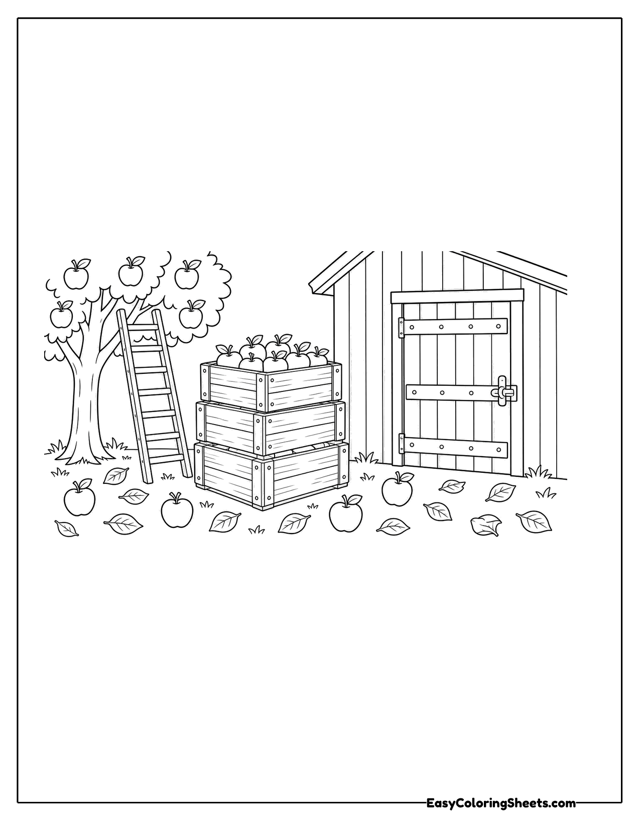 Wooden apple crates stacked beside a barn door with an apple tree and ladder