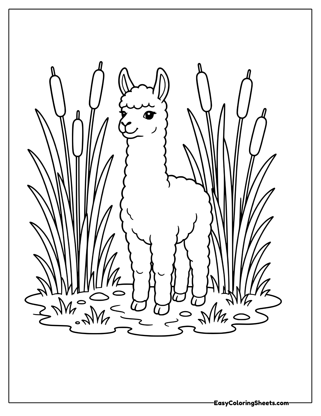 Llama standing among tall cattails
