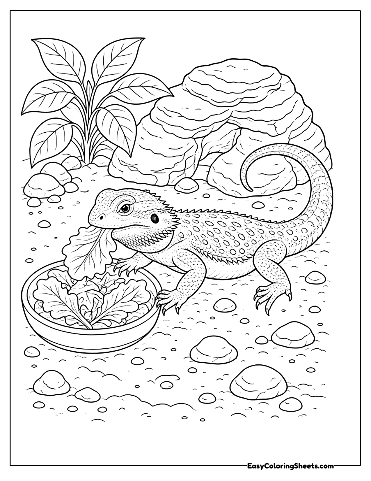 Bearded dragon eating a bowl of greens