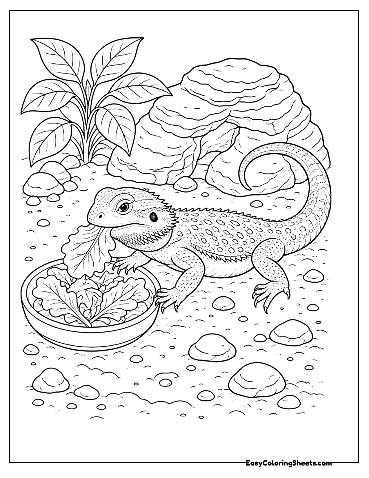 Bearded dragon eating a bowl of greens