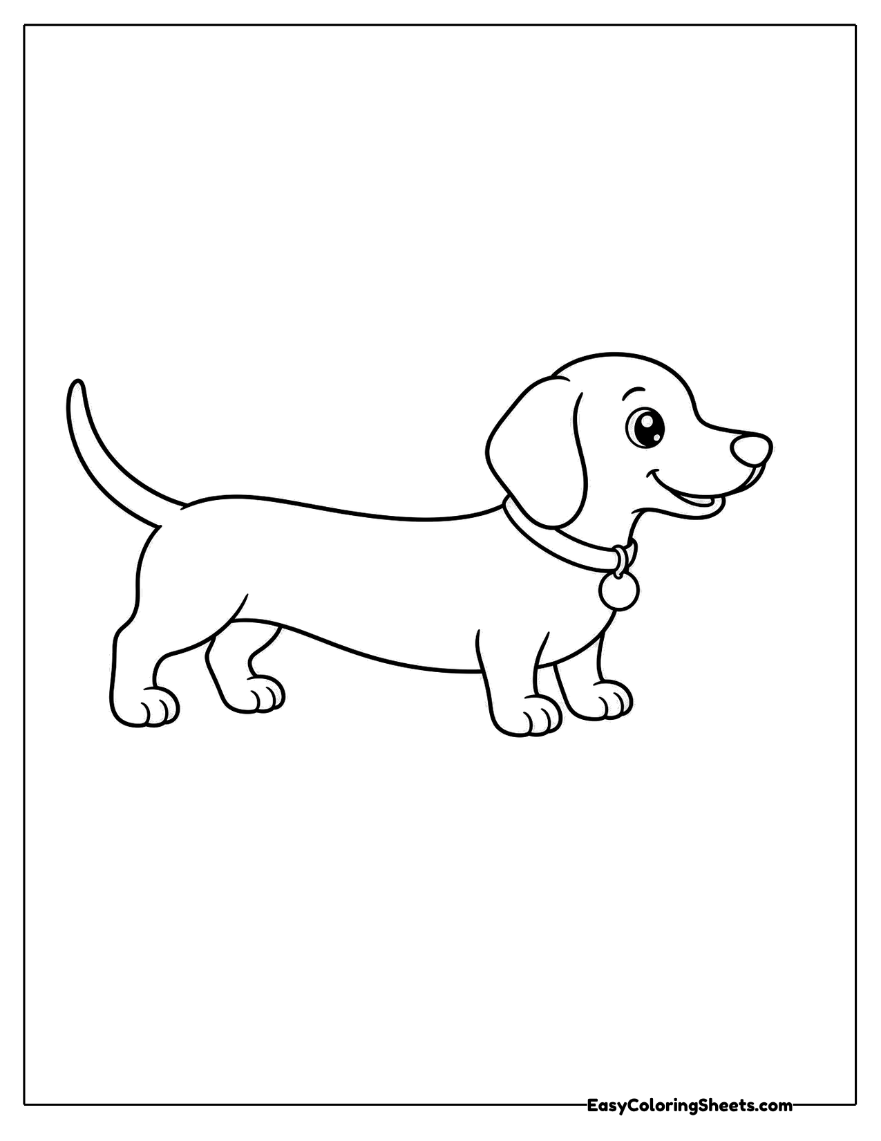 Dachshund standing sideways