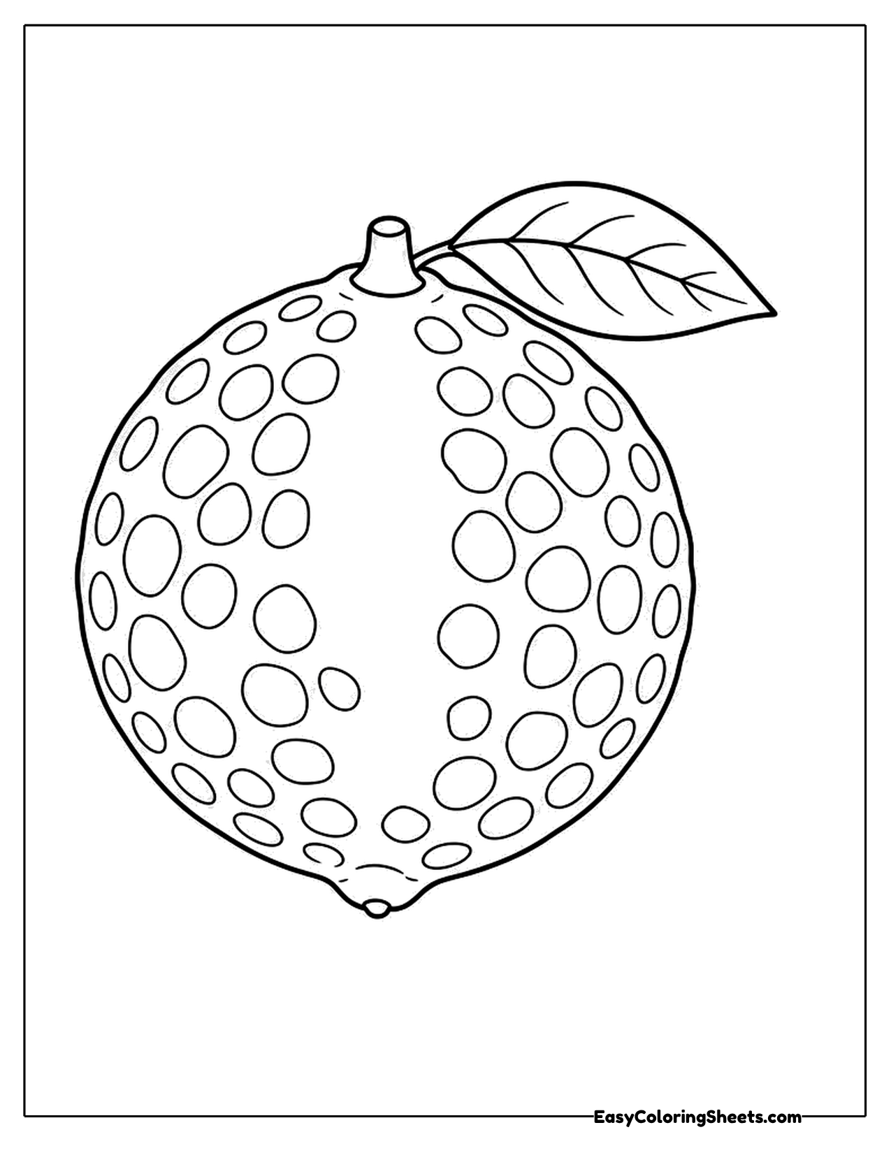 Oval lime covered in little dimples with a leaf on the stem