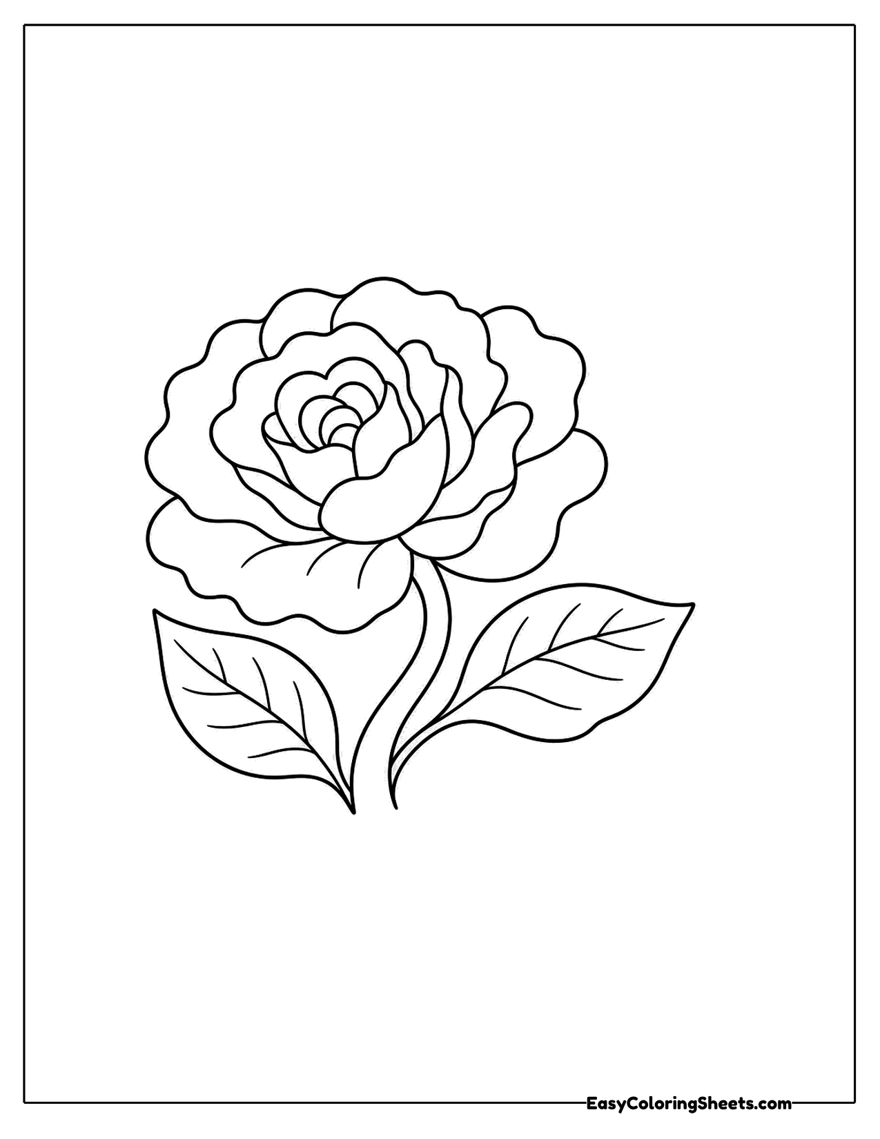 Open rose bloom with layered petals and leaves