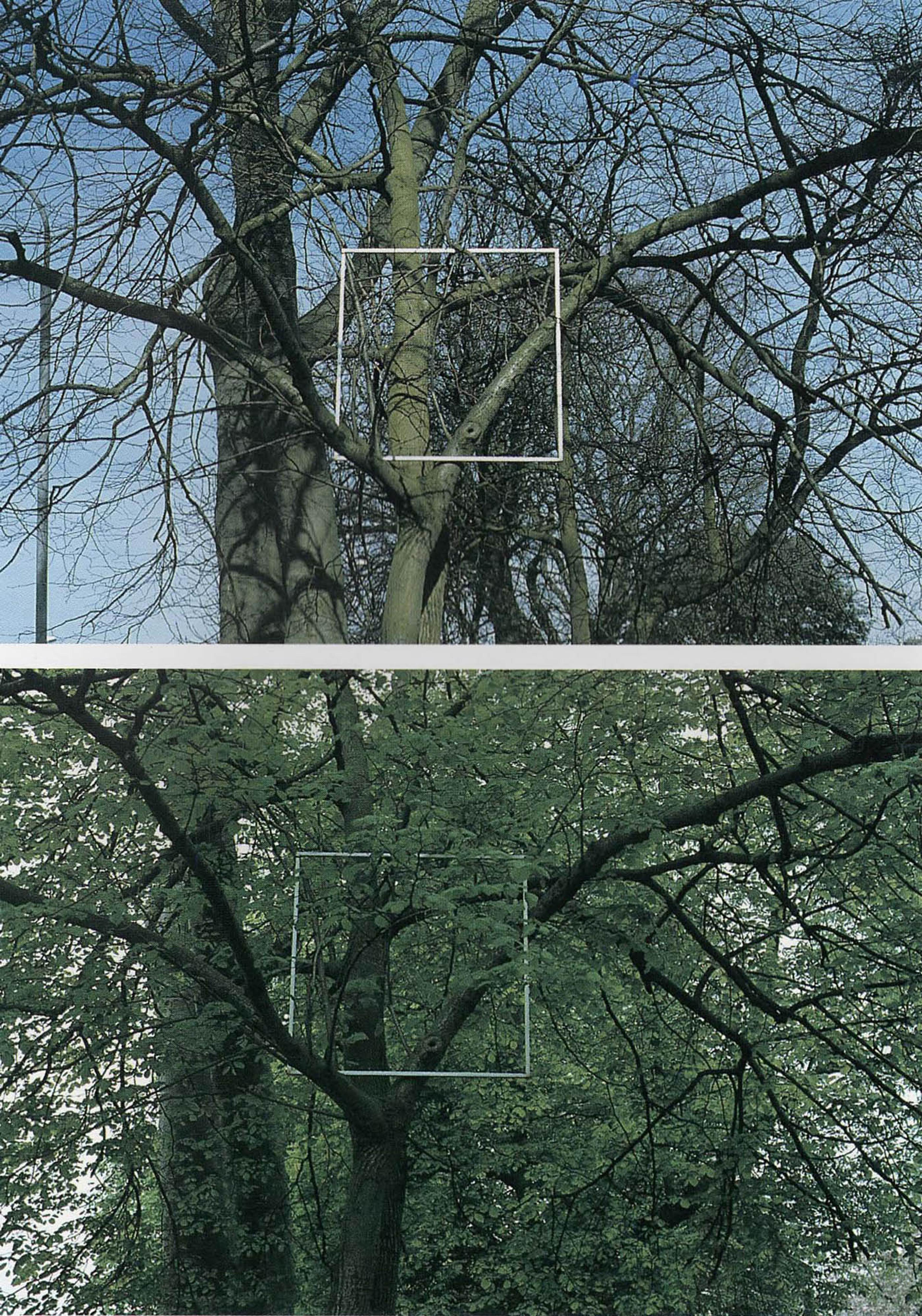 (1998) Robert Janz, Untitled (winter scene, spring scene), photographs, each 122 x 122 cm.