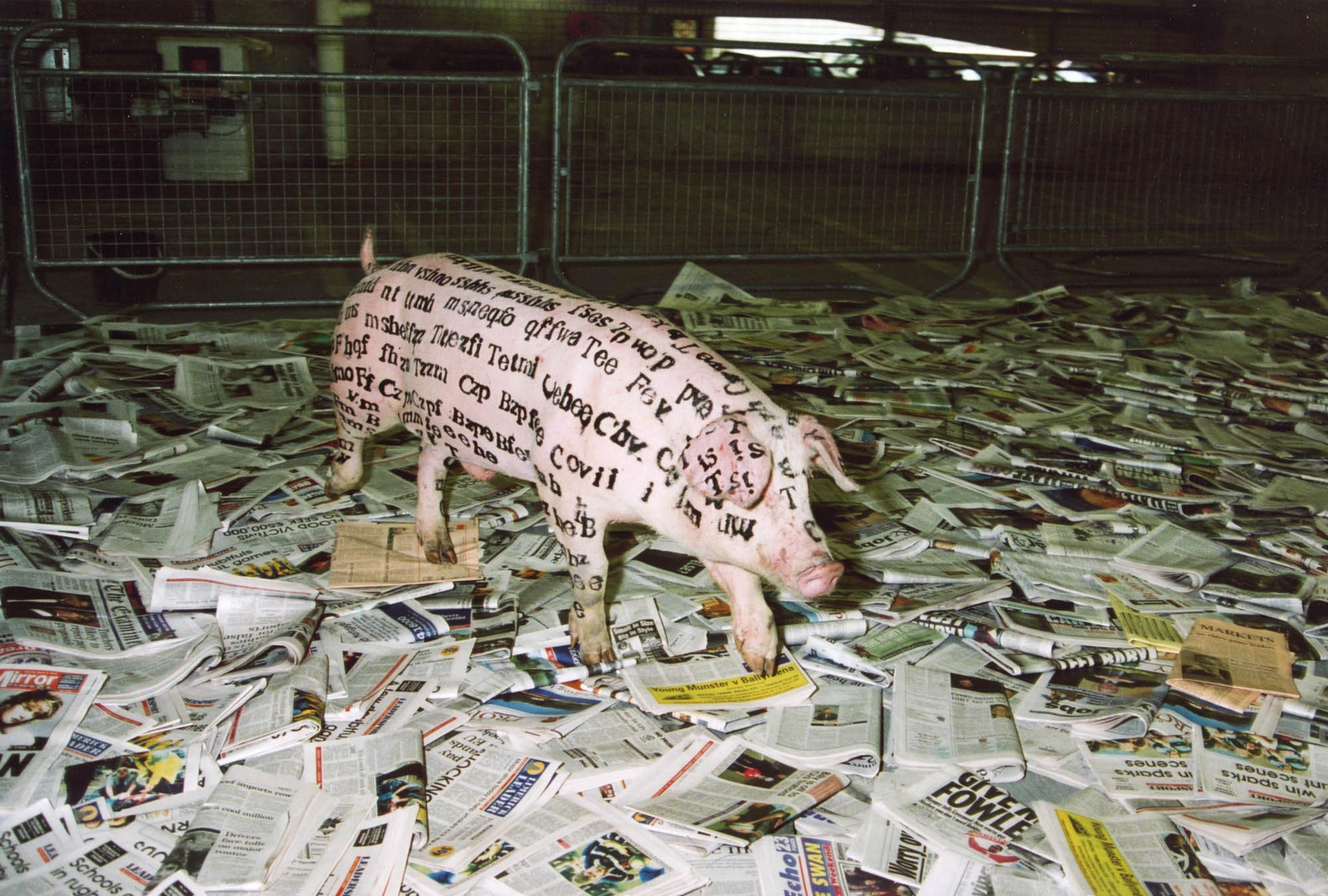 (2000) Xu Bing, A Case Study of Transference, 11 March 2000, performance (carpark on Thomas Street)