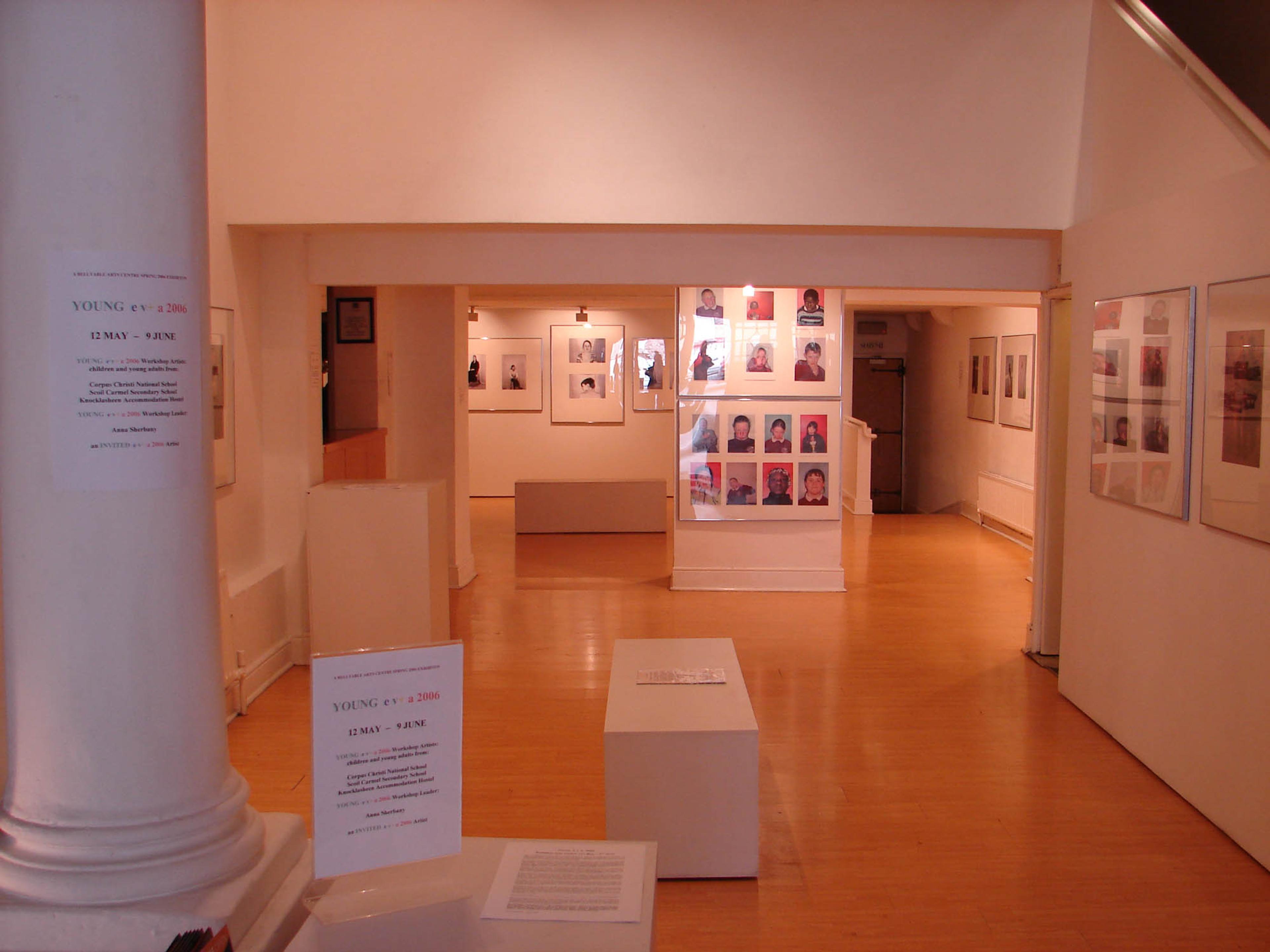 (2006) Young EVA exhibition