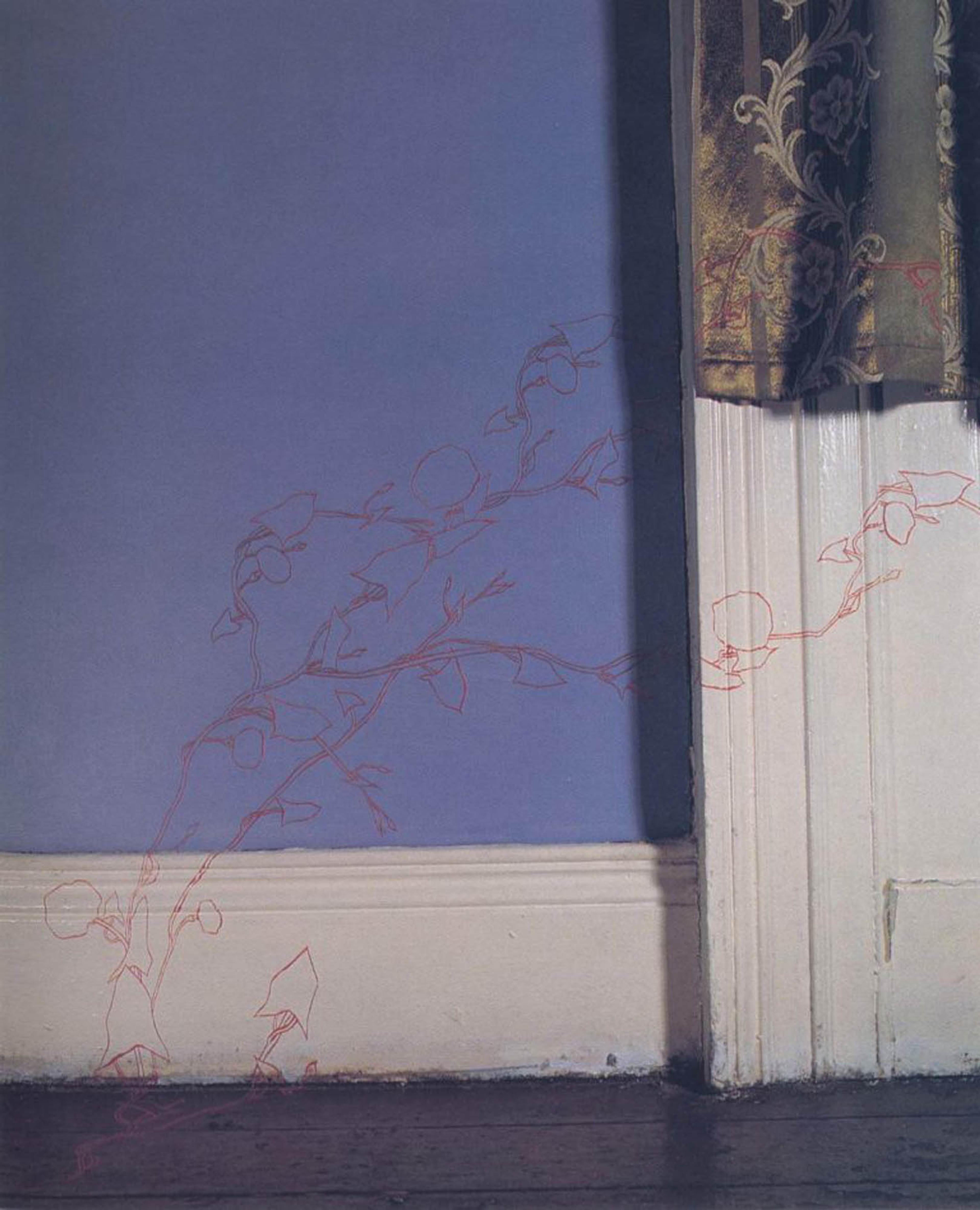 (1999) Niamh O’Malley, Convolvulvus, wall drawing.