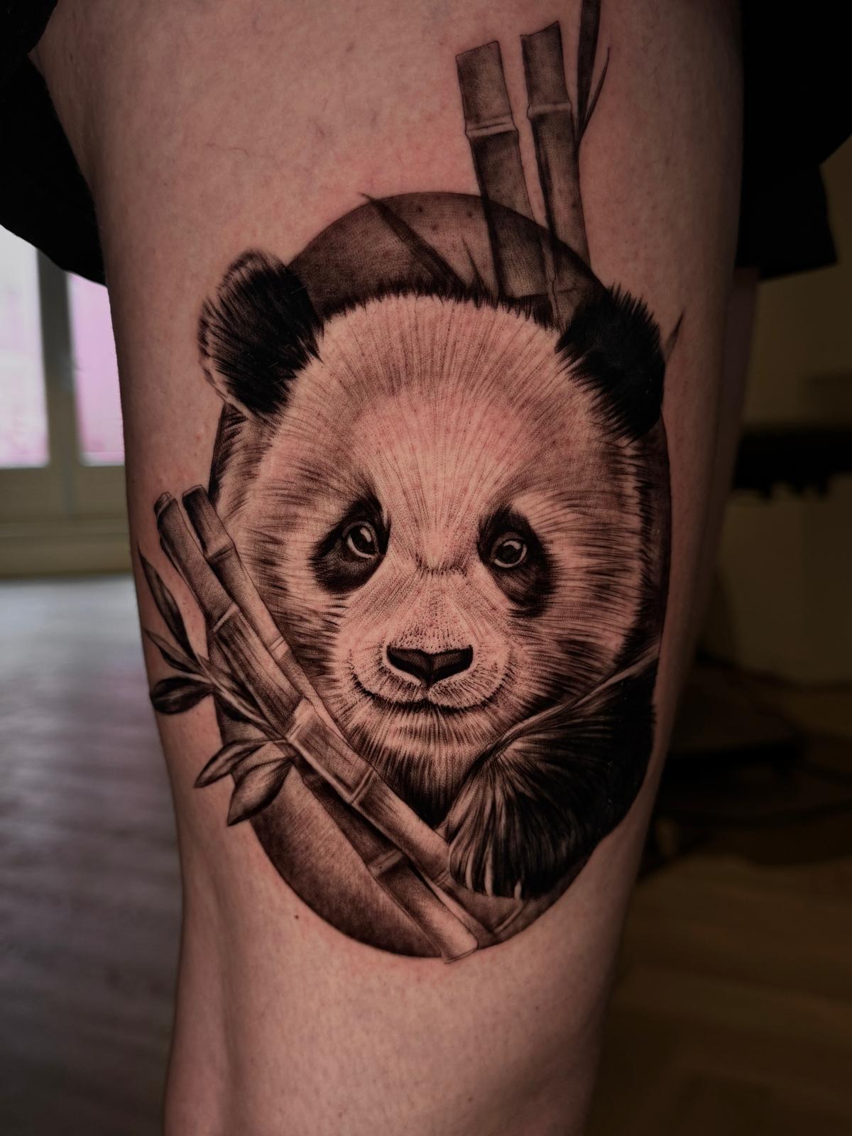 Panda
