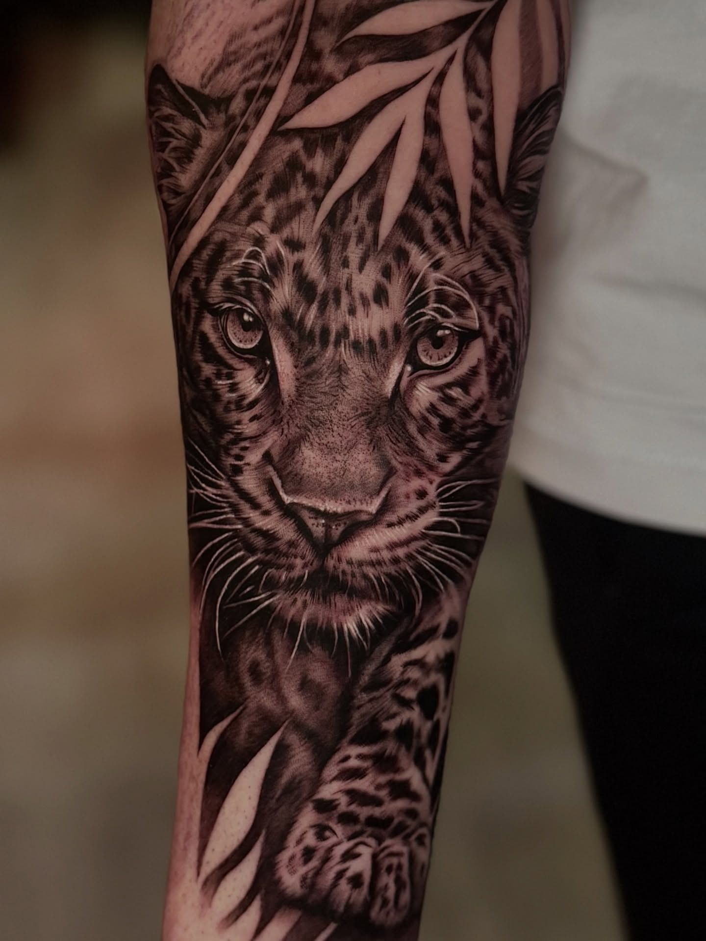 Panther black and grey realism