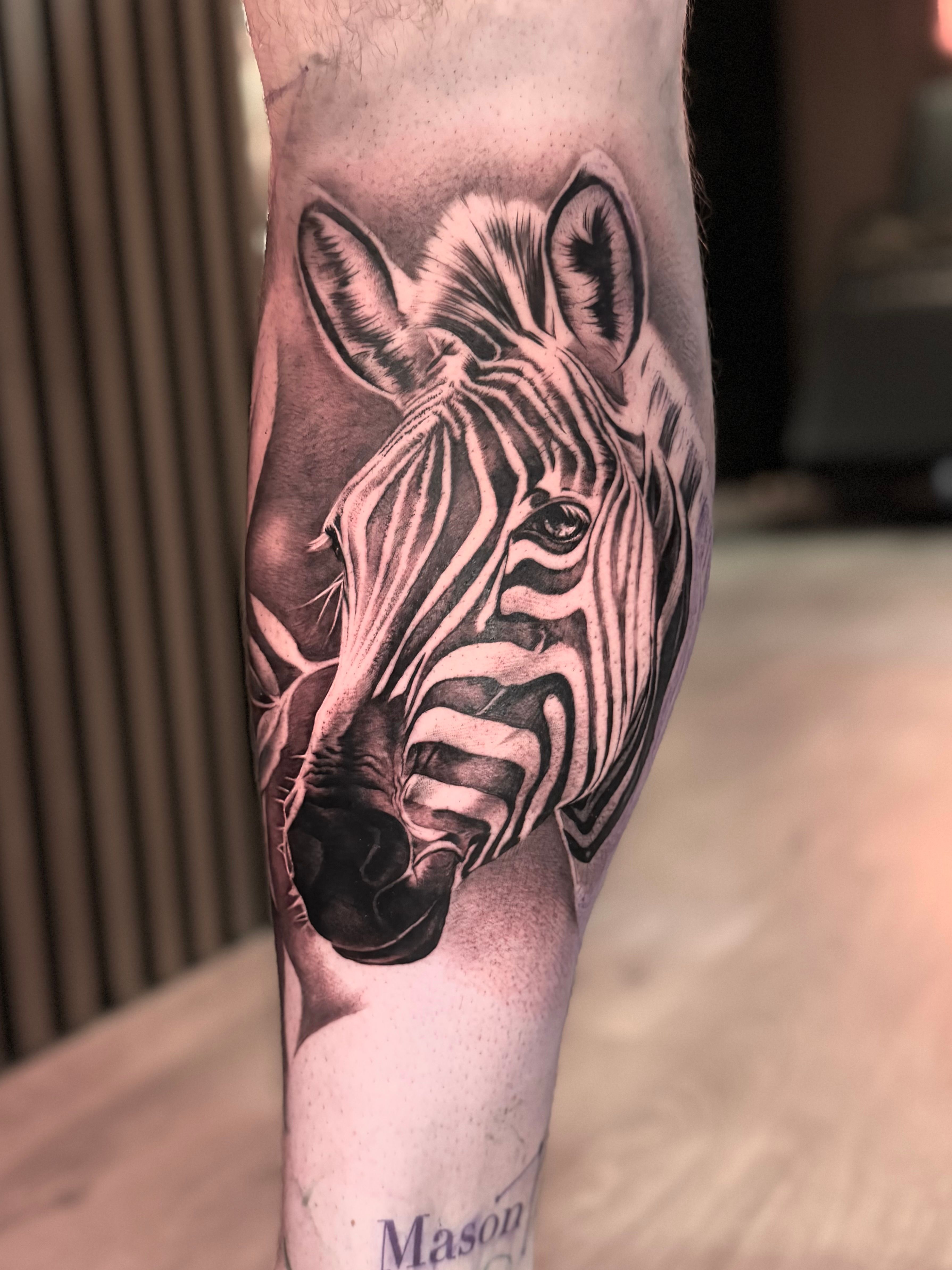 Zebra