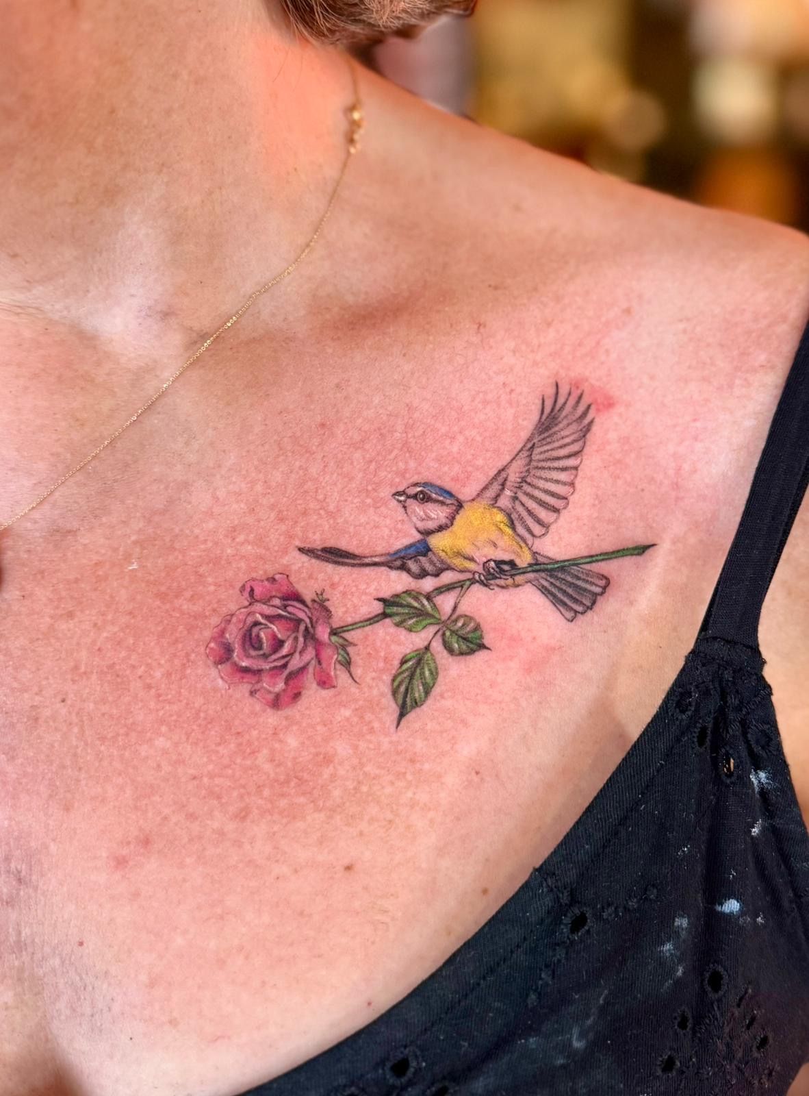 Little bird in color