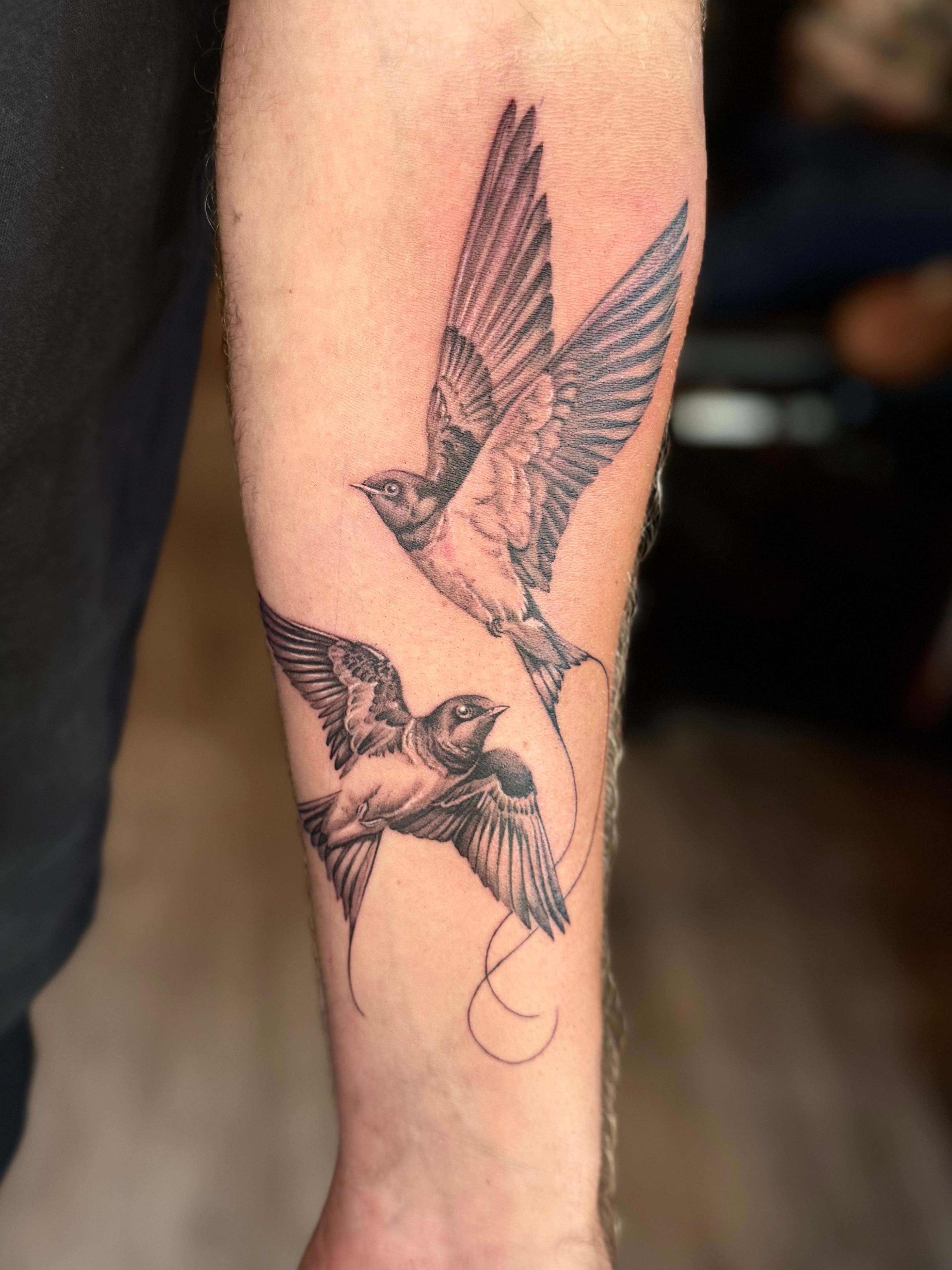 Two swallows