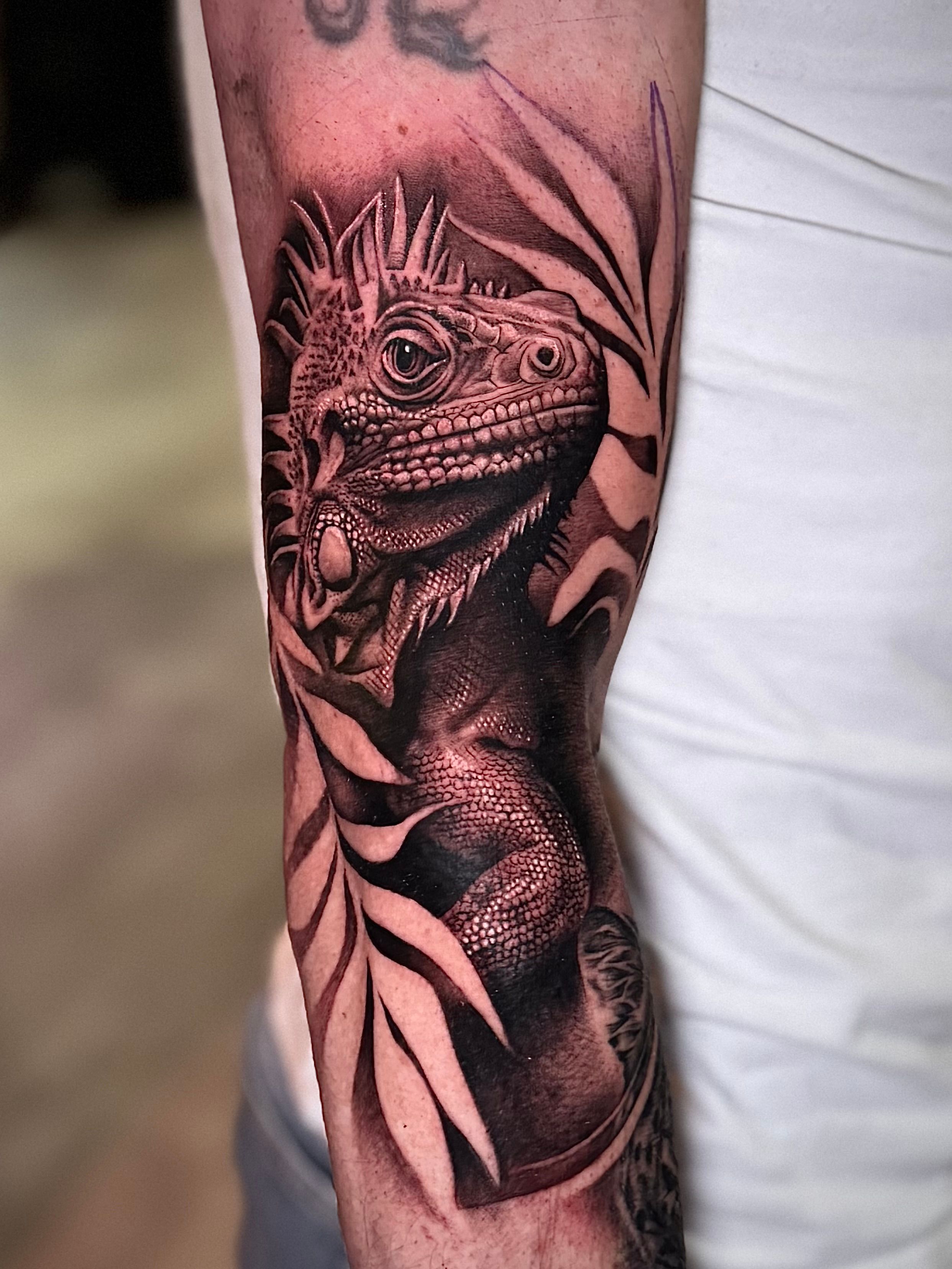 Iguana tattoo