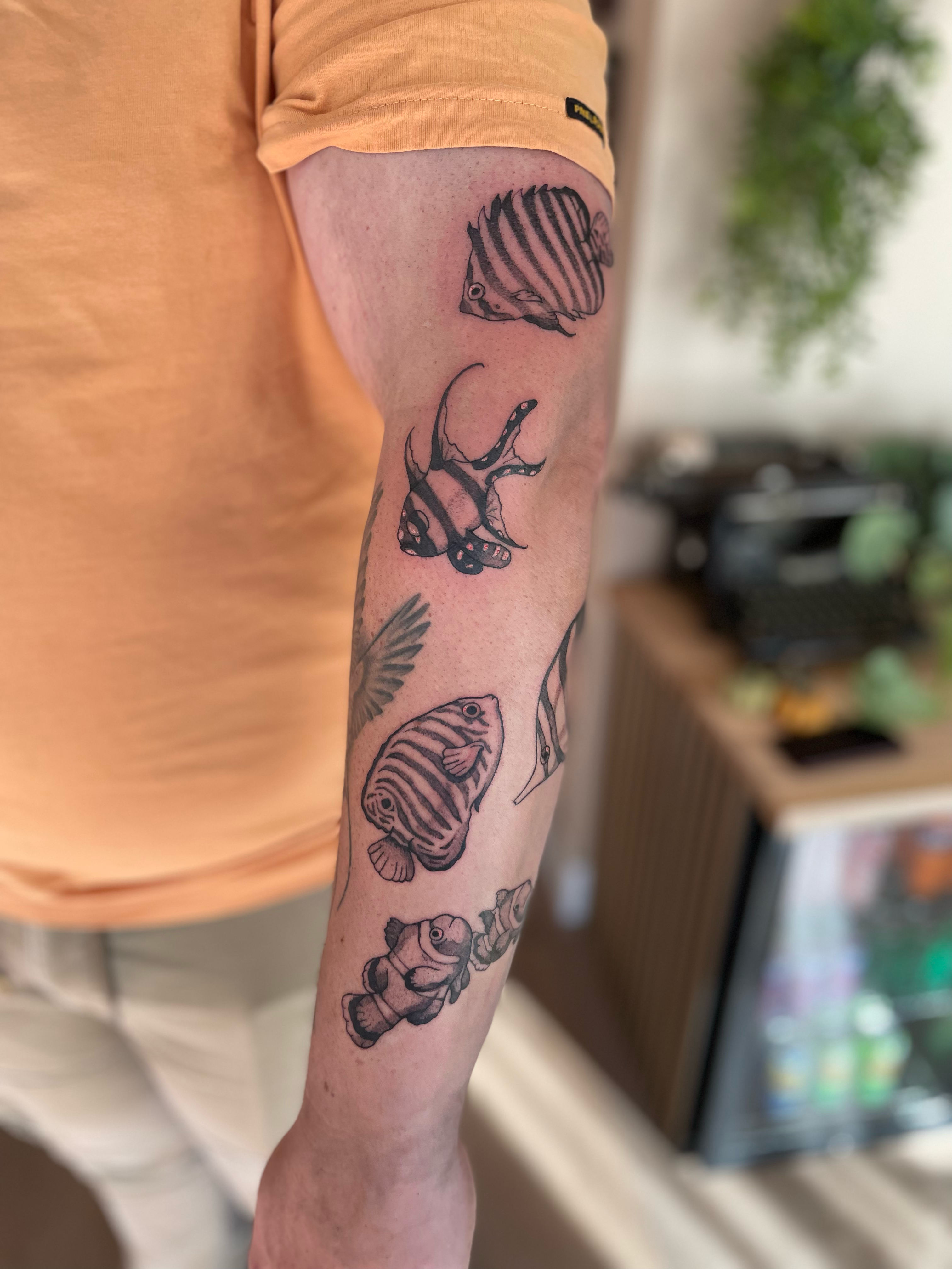 Aquarium sleeve