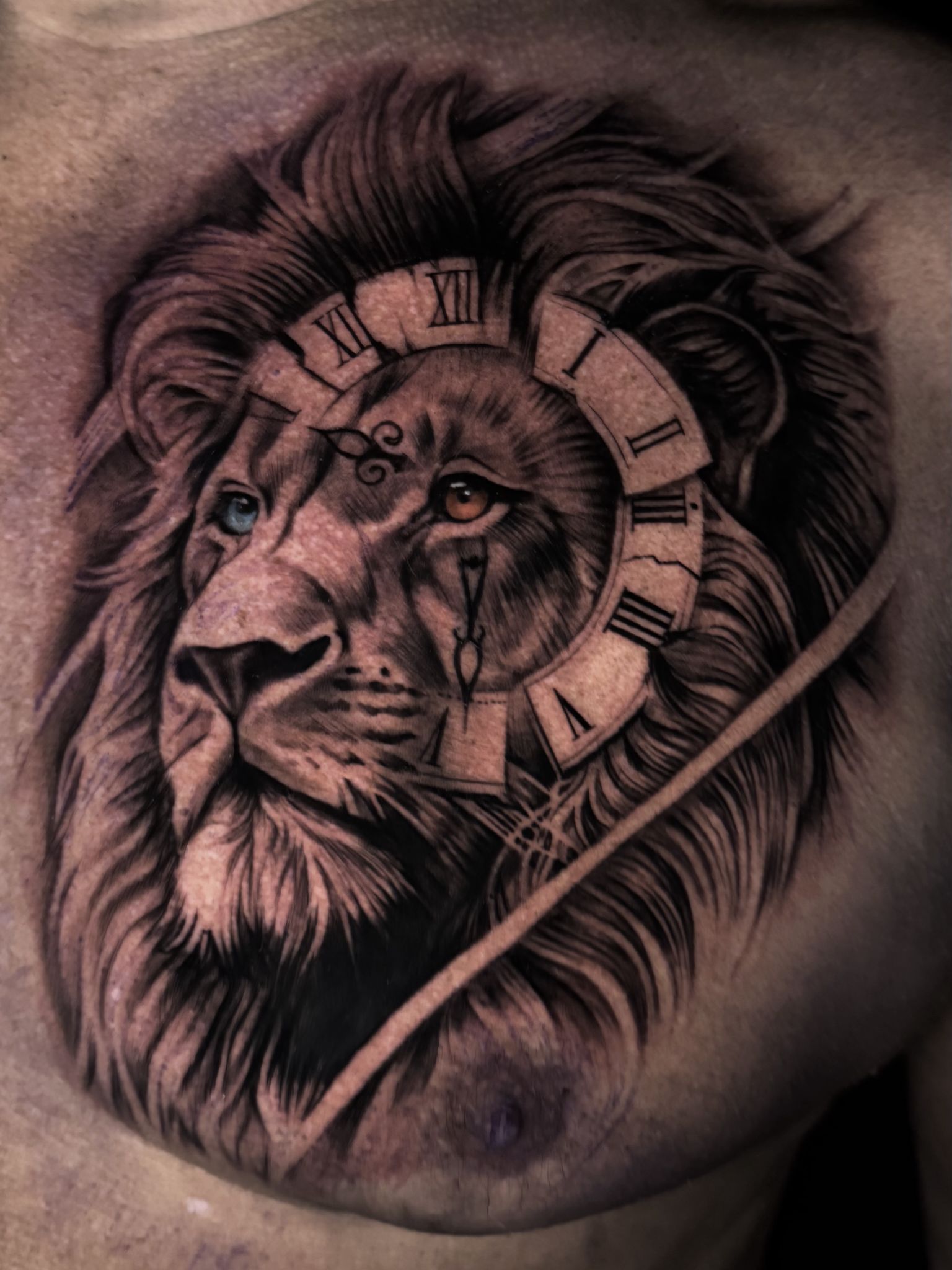 Classic lion piece