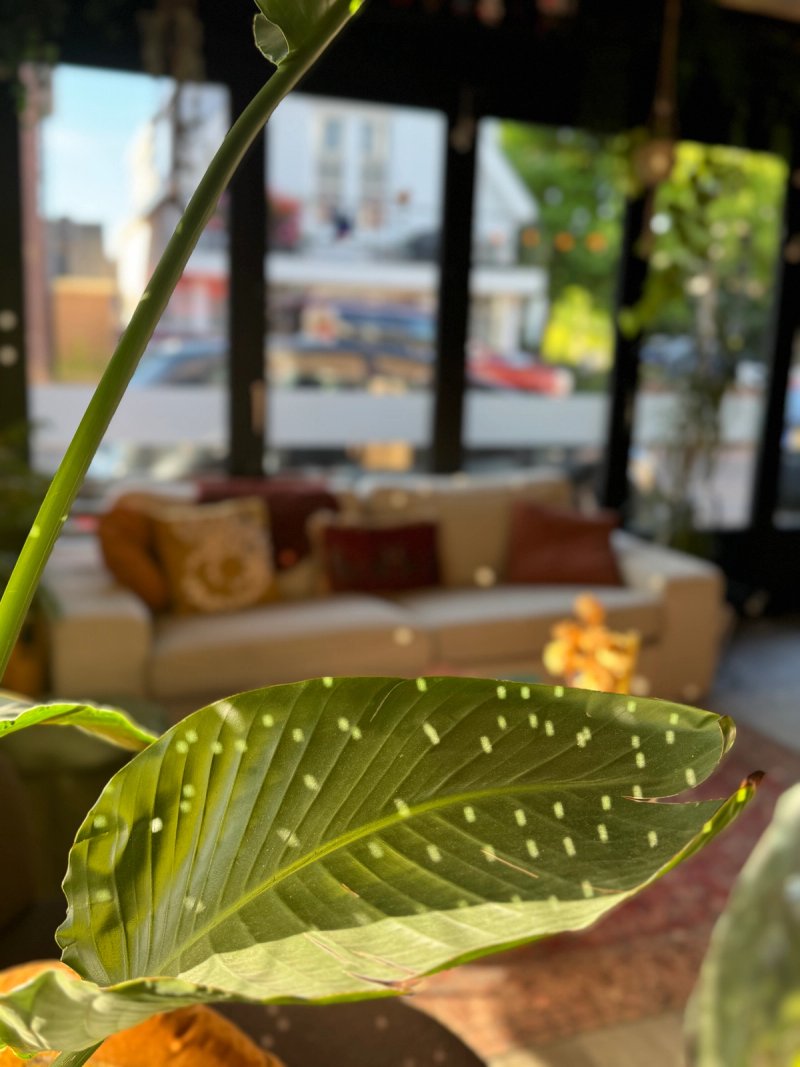 Tijdelijk​​​​‌﻿‍﻿​‍​‍‌‍﻿﻿‌﻿​‍‌‍‍‌‌‍‌﻿‌‍‍‌‌‍﻿‍​‍​‍​﻿‍‍​‍​‍‌﻿​﻿‌‍​‌‌‍﻿‍‌‍‍‌‌﻿‌​‌﻿‍‌​‍﻿‍‌‍‍‌‌‍﻿﻿​‍​‍​‍﻿​​‍​‍‌‍‍​‌﻿​‍‌‍‌‌‌‍‌‍​‍​‍​﻿‍‍​‍​‍‌‍‍​‌﻿‌​‌﻿‌​‌﻿​​‌﻿​﻿​﻿‍‍​‍﻿﻿​‍﻿﻿‌‍‍‌‌‍﻿​‌‍﻿​‌﻿‌‌‌﻿​﻿‌‍‍‌‌‍﻿﻿‌‍﻿‍‌‍‍‌‌‍﻿‍‌‍‍﻿​‍﻿‍‌﻿​﻿‌‍​‌‌‍﻿‍‌‍‍‌‌﻿‌​‌﻿‍‌​‍﻿‍‌﻿​﻿‌﻿‌​‌﻿‌‌‌‍‌​‌‍‍‌‌‍﻿﻿​‍﻿﻿‌﻿​﻿‌﻿‌​‌‍​‌‌‍‌﻿‌‍‍‌‌‍﻿‍‌‍‌﻿​‍﻿﻿‌‍‍‌‌‍﻿‍‌﻿‌​‌‍‌‌‌‍﻿‍‌﻿‌​​‍﻿﻿‌‍‌‌‌‍‌​‌‍‍‌‌﻿‌​​‍﻿﻿‌‍﻿‌‌‍﻿﻿‌‍‌​‌‍‌‌​﻿﻿‌‌﻿​​‌﻿​‍‌‍‌‌‌﻿​﻿‌‍‌‌‌‍﻿‍‌﻿‌​‌‍​‌‌﻿‌​‌‍‍‌‌‍﻿﻿‌‍﻿‍​﻿‍﻿‌‍‍‌‌‍‌​​﻿﻿‌​﻿​‍​﻿‌​​﻿‍‌​﻿‌​​﻿​﻿​﻿​‍‌‍‌‍‌‍‌‌​‍﻿‌‌‍‌‌​﻿‍​​﻿‌‍​﻿‌﻿​‍﻿‌​﻿‌​​﻿‌​‌‍​‍​﻿​‍​‍﻿‌‌‍​‌​﻿‌﻿​﻿‍​​﻿​﻿​‍﻿‌‌‍​﻿‌‍‌​​﻿‌‌‌‍​‍​﻿‌﻿‌‍‌​‌‍​‌​﻿‍‌​﻿‌‌​﻿‌​​﻿​‍​﻿‌​​﻿‍﻿‌﻿‌​‌﻿‍‌‌﻿​​‌‍‌‌​﻿﻿‌‌﻿​​‌‍​‌‌‍‌﻿‌‍‌‌​﻿‍﻿‌﻿​​‌‍​‌‌﻿‌​‌‍‍​​﻿﻿‌‌﻿​﻿‌‍‌‌‌‍​﻿‌﻿‌​‌‍‍‌‌‍﻿﻿‌‍﻿‍‌﻿​﻿​‍‌‌​﻿‌‌‌​​‍‌‌﻿﻿‌‍‍﻿‌‍‌‌‌﻿‍‌​‍‌‌​﻿​﻿‌​‌​​‍‌‌​﻿​﻿‌​‌​​‍‌‌​﻿​‍​﻿​‍​﻿‍‌​﻿‍​​﻿​‍‌‍‌‍​﻿‌‌​﻿​﻿​﻿‌‍​﻿‌​‌‍​‍​﻿‍​​﻿​‌​﻿​‌​‍‌‌​﻿​‍​﻿​‍​‍‌‌​﻿‌‌‌​‌​​‍﻿‍‌‍‍‌‌‍﻿‌‌‍​‌‌‍‌﻿‌‍‌‌‌​​‌‌‍﻿​‌﻿‌​​‍‌‌​﻿‌‌‌​​‍‌‌﻿﻿‌‍‍﻿‌‍‌‌‌﻿‍‌​‍‌‌​﻿​﻿‌​‌​​‍‌‌​﻿​﻿‌​‌​​‍‌‌​﻿​‍​﻿​‍‌‍﻿‍‌‍﻿​​‍‌‌​﻿​‍​﻿​‍​‍‌‌​﻿‌‌‌​‌​​‍﻿‍‌﻿‌‍‌‍​‌‌‍﻿​‌﻿‌‌‌‍‌‌​﻿﻿﻿‌‍​‍‌‍​‌‌﻿​﻿‌‍‌‌‌‌‌‌‌﻿​‍‌‍﻿​​﻿﻿‌‌‍‍​‌﻿‌​‌﻿‌​‌﻿​​‌﻿​﻿​‍‌‌​﻿​﻿‌​​‌​‍‌‌​﻿​‍‌​‌‍​‍‌‌​﻿​‍‌​‌‍‌‍‍‌‌‍﻿​‌‍﻿​‌﻿‌‌‌﻿​﻿‌‍‍‌‌‍﻿﻿‌‍﻿‍‌‍‍‌‌‍﻿‍‌‍‍﻿​‍﻿‍‌﻿​﻿‌‍​‌‌‍﻿‍‌‍‍‌‌﻿‌​‌﻿‍‌​‍﻿‍‌﻿​﻿‌﻿‌​‌﻿‌‌‌‍‌​‌‍‍‌‌‍﻿﻿​‍‌‌​﻿​‍‌​‌‍‌﻿​﻿‌﻿‌​‌‍​‌‌‍‌﻿‌‍‍‌‌‍﻿‍‌‍‌﻿​‍‌‍‌‍‍‌‌‍‌​​﻿﻿‌​﻿​‍​﻿‌​​﻿‍‌​﻿‌​​﻿​﻿​﻿​‍‌‍‌‍‌‍‌‌​‍﻿‌‌‍‌‌​﻿‍​​﻿‌‍​﻿‌﻿​‍﻿‌​﻿‌​​﻿‌​‌‍​‍​﻿​‍​‍﻿‌‌‍​‌​﻿‌﻿​﻿‍​​﻿​﻿​‍﻿‌‌‍​﻿‌‍‌​​﻿‌‌‌‍​‍​﻿‌﻿‌‍‌​‌‍​‌​﻿‍‌​﻿‌‌​﻿‌​​﻿​‍​﻿‌​​‍‌‍‌﻿‌​‌﻿‍‌‌﻿​​‌‍‌‌​﻿﻿‌‌﻿​​‌‍​‌‌‍‌﻿‌‍‌‌​‍‌‍‌﻿​​‌‍​‌‌﻿‌​‌‍‍​​﻿﻿‌‌﻿​﻿‌‍‌‌‌‍​﻿‌﻿‌​‌‍‍‌‌‍﻿﻿‌‍﻿‍‌﻿​﻿​‍‌‌​﻿‌‌‌​​‍‌‌﻿﻿‌‍‍﻿‌‍‌‌‌﻿‍‌​‍‌‌​﻿​﻿‌​‌​​‍‌‌​﻿​﻿‌​‌​​‍‌‌​﻿​‍​﻿​‍​﻿‍‌​﻿‍​​﻿​‍‌‍‌‍​﻿‌‌​﻿​﻿​﻿‌‍​﻿‌​‌‍​‍​﻿‍​​﻿​‌​﻿​‌​‍‌‌​﻿​‍​﻿​‍​‍‌‌​﻿‌‌‌​‌​​‍﻿‍‌‍‍‌‌‍﻿‌‌‍​‌‌‍‌﻿‌‍‌‌‌​​‌‌‍﻿​‌﻿‌​​‍‌‌​﻿‌‌‌​​‍‌‌﻿﻿‌‍‍﻿‌‍‌‌‌﻿‍‌​‍‌‌​﻿​﻿‌​‌​​‍‌‌​﻿​﻿‌​‌​​‍‌‌​﻿​‍​﻿​‍‌‍﻿‍‌‍﻿​​‍‌‌​﻿​‍​﻿​‍​‍‌‌​﻿‌‌‌​‌​​‍﻿‍‌﻿‌‍‌‍​‌‌‍﻿​‌﻿‌‌‌‍‌‌​‍​‍‌﻿﻿‌