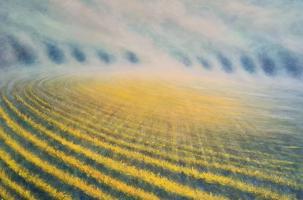 Sunfield, Print on canvas, 52 x 61 cm