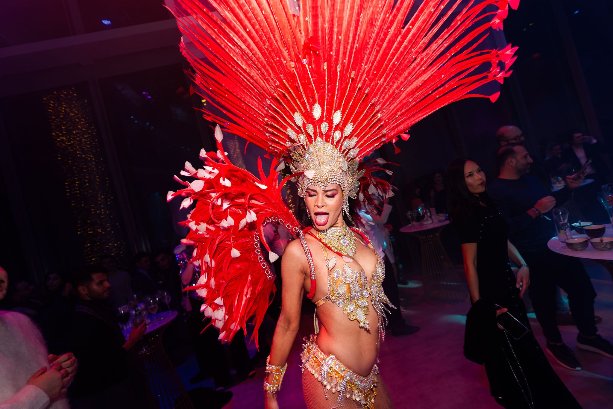Dancer in red plumage