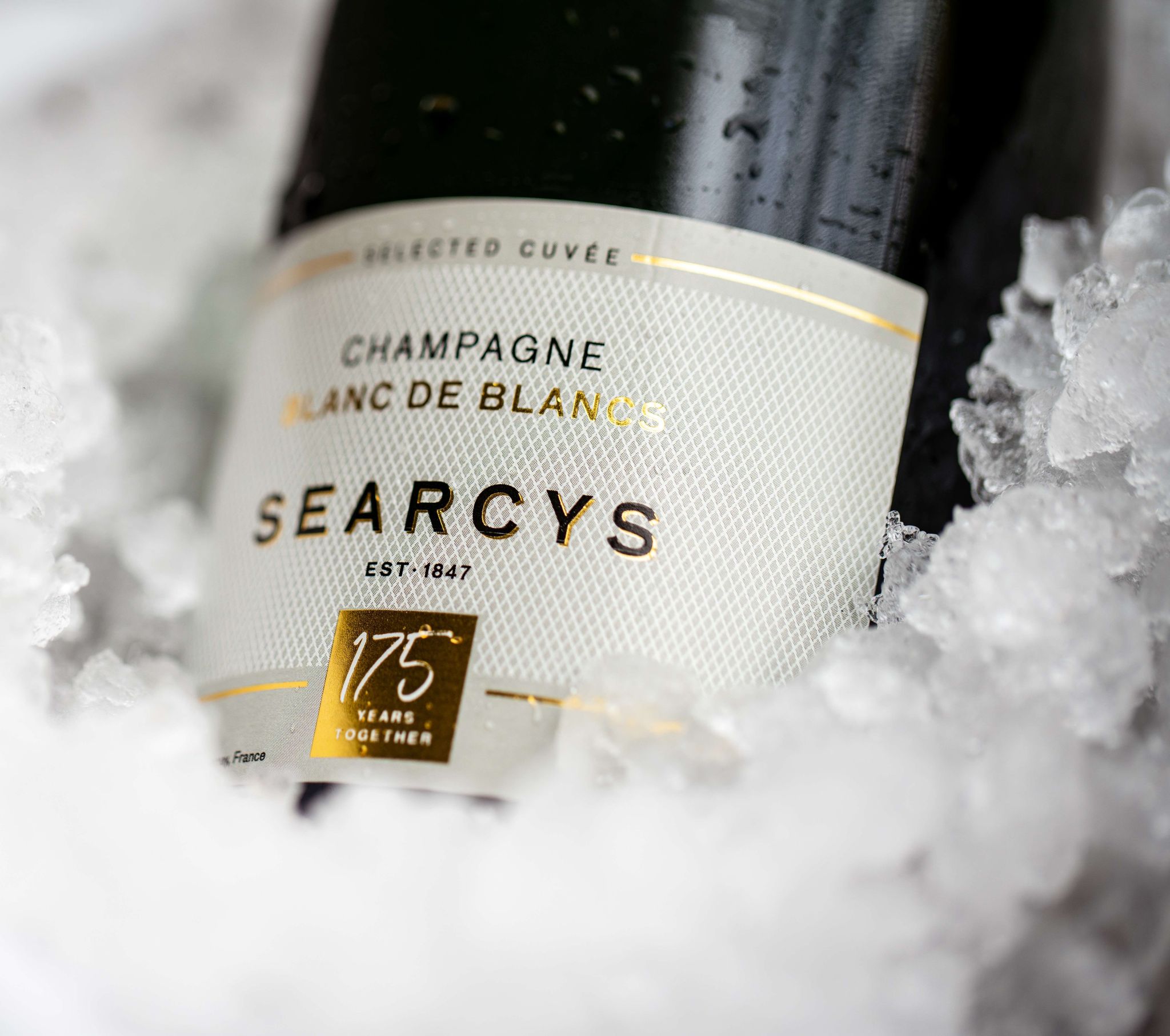 Champagne on ice