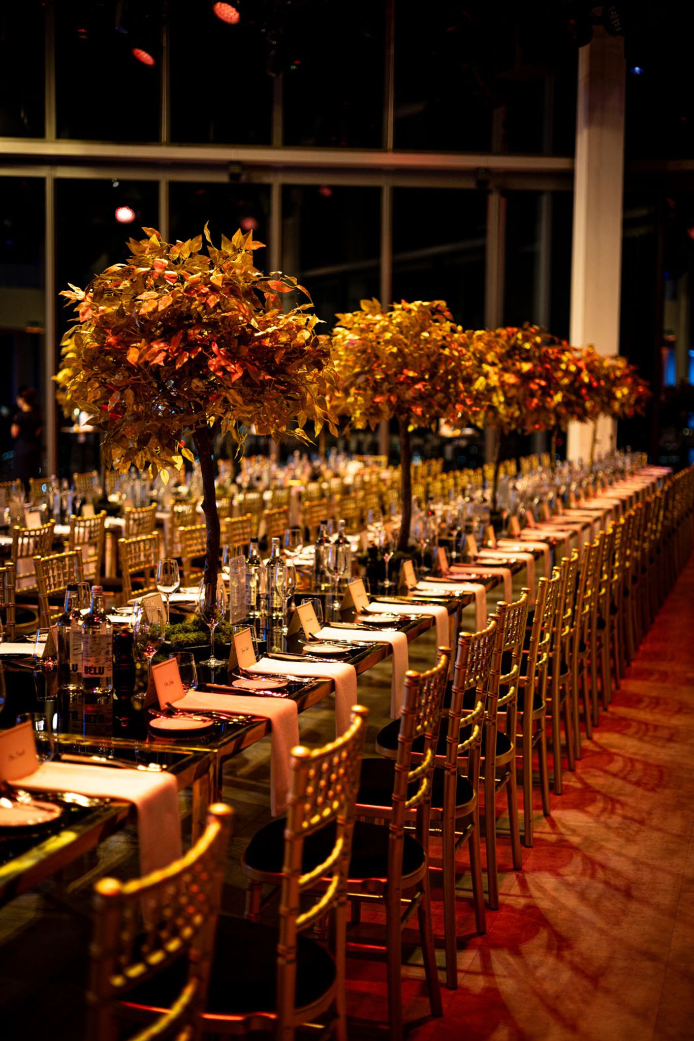 View from Horizon 22