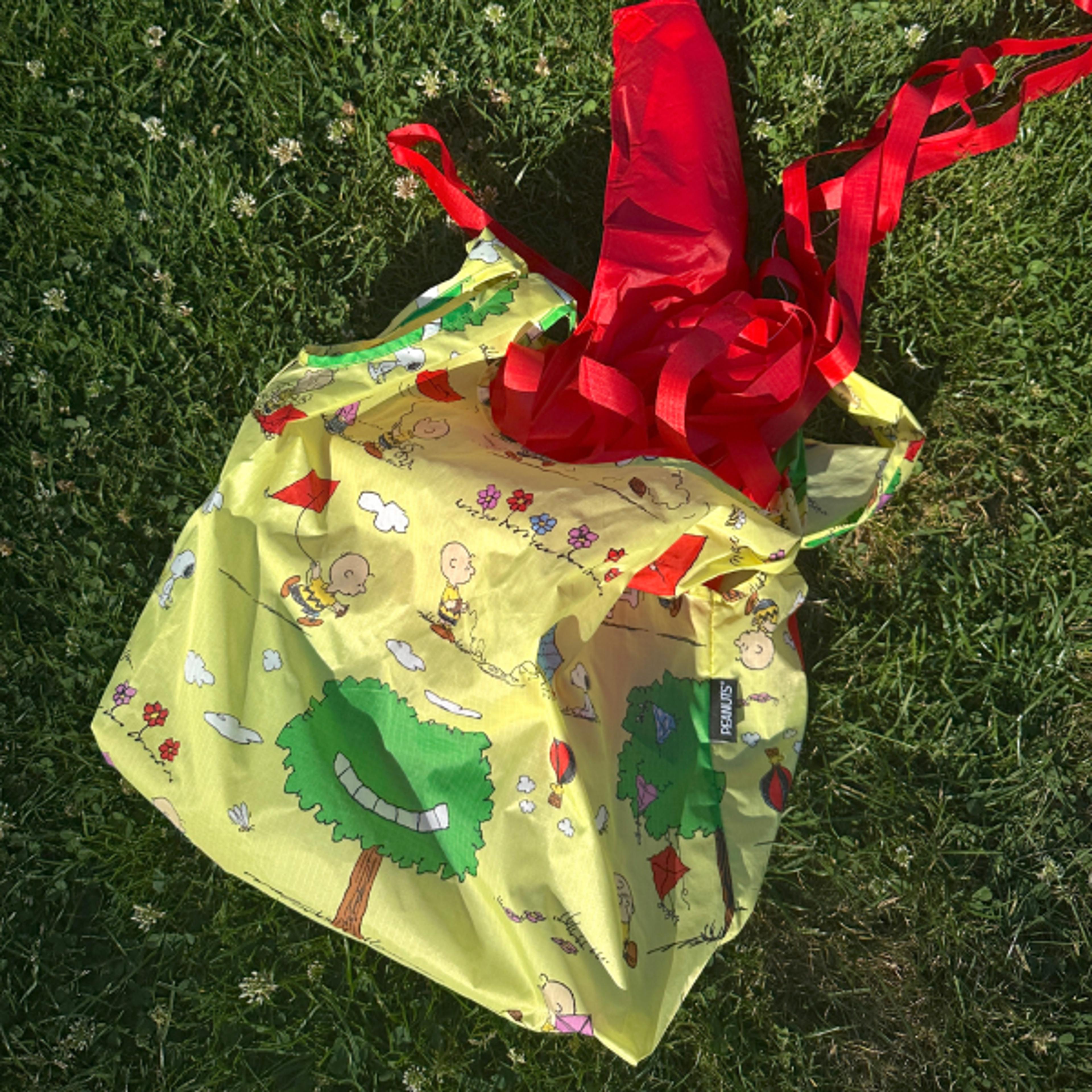 Baggu