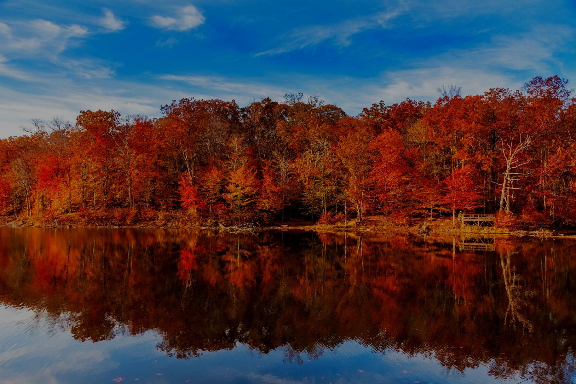 Top-Rated Personal Injury Attorneys to Help You Succeed