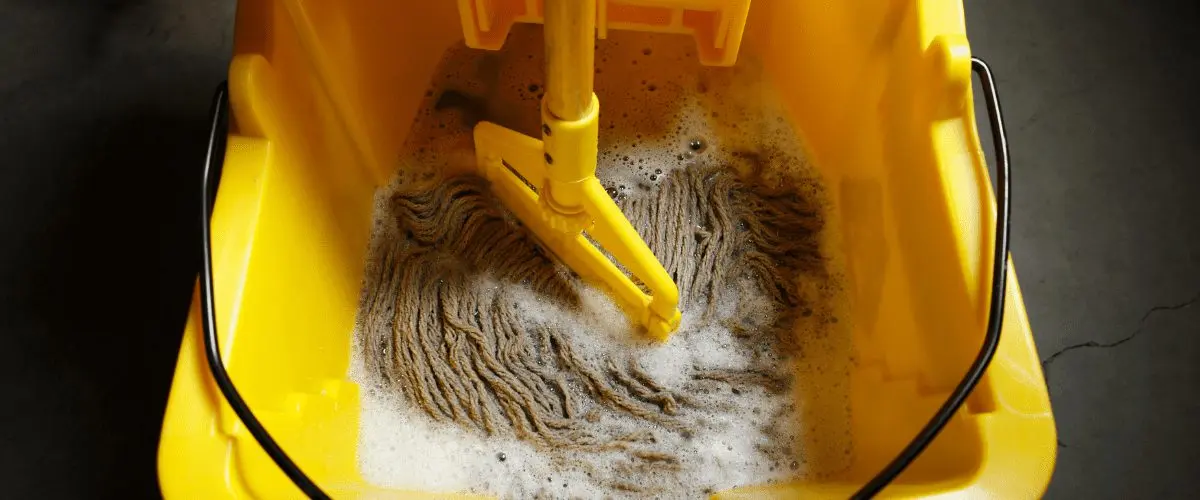 Stop the Mop: Good, Better, and Best Mopping Alternatives