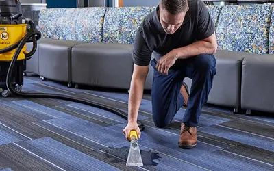 The Best Multipurpose Carpet Cleaning Machine