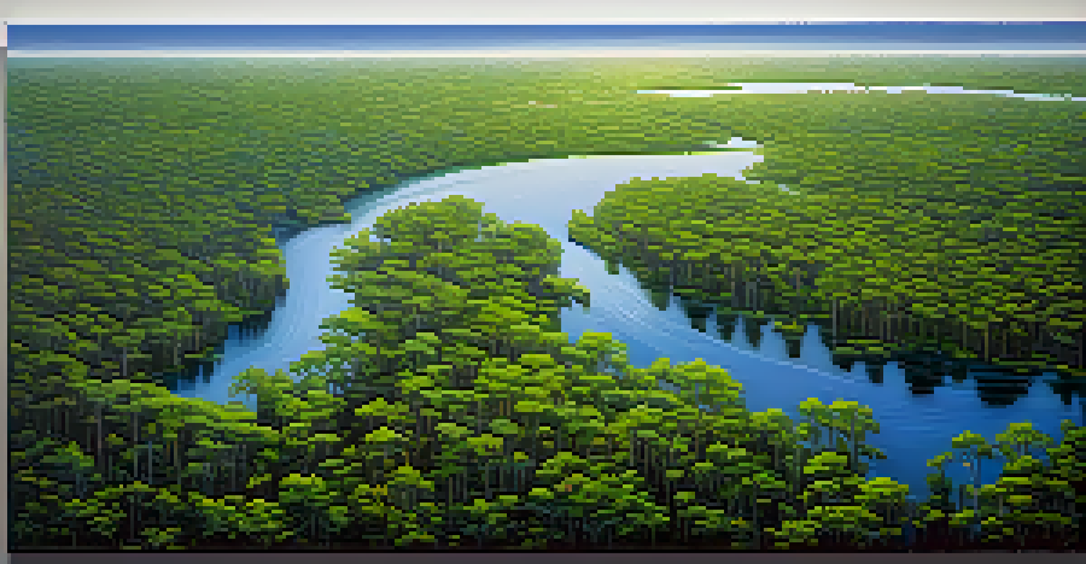 An aerial perspective of a vibrant Louisiana swamp filled with cypress trees, winding waterways, and colorful wildflowers under sunlight.