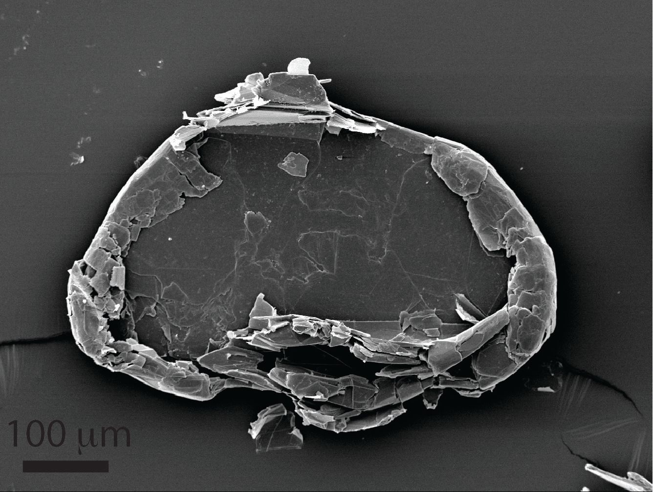 438. High-Throughput Vibrational Exfoliation Breakthrough Accelerates Graphene Manufacturing