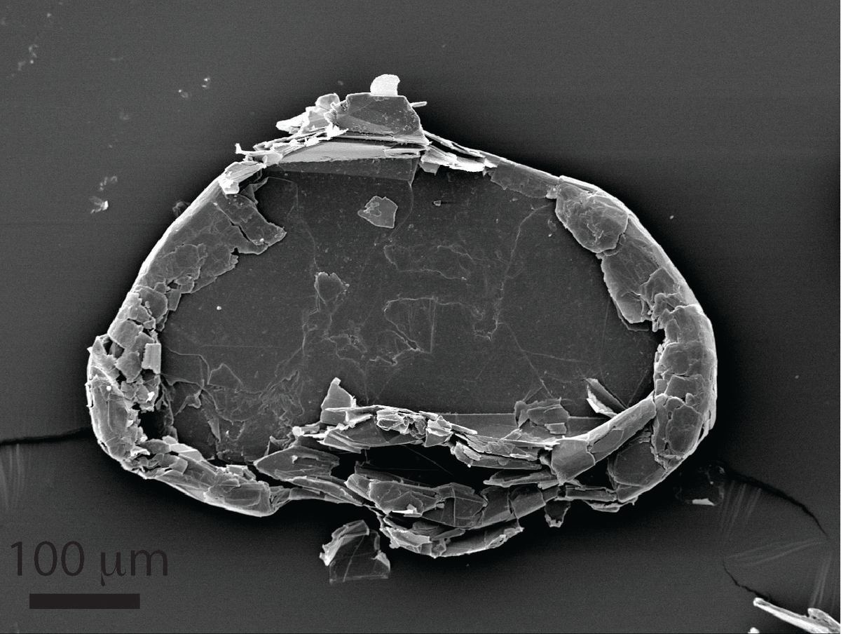 438. High-Throughput Vibrational Exfoliation Breakthrough Accelerates Graphene Manufacturing