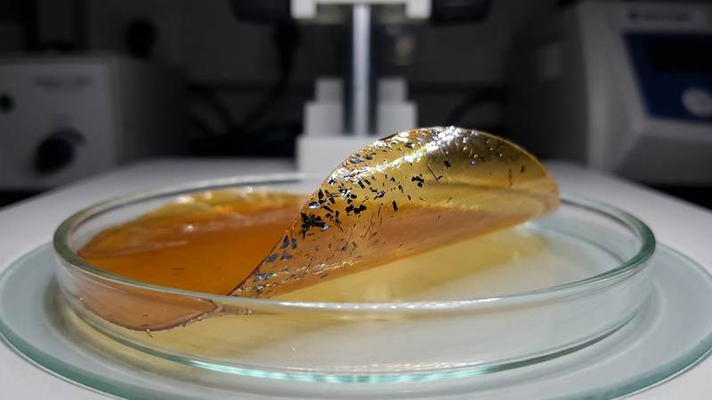 511. Graphene-Powered Skincare: Developing a Sustainable Antimicrobial Peel-Off Mask