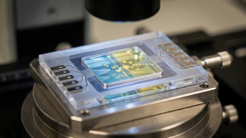 569. Practical Guide: Engineering High-Performance Organic Catalysts Using Graphene Liquid Cells