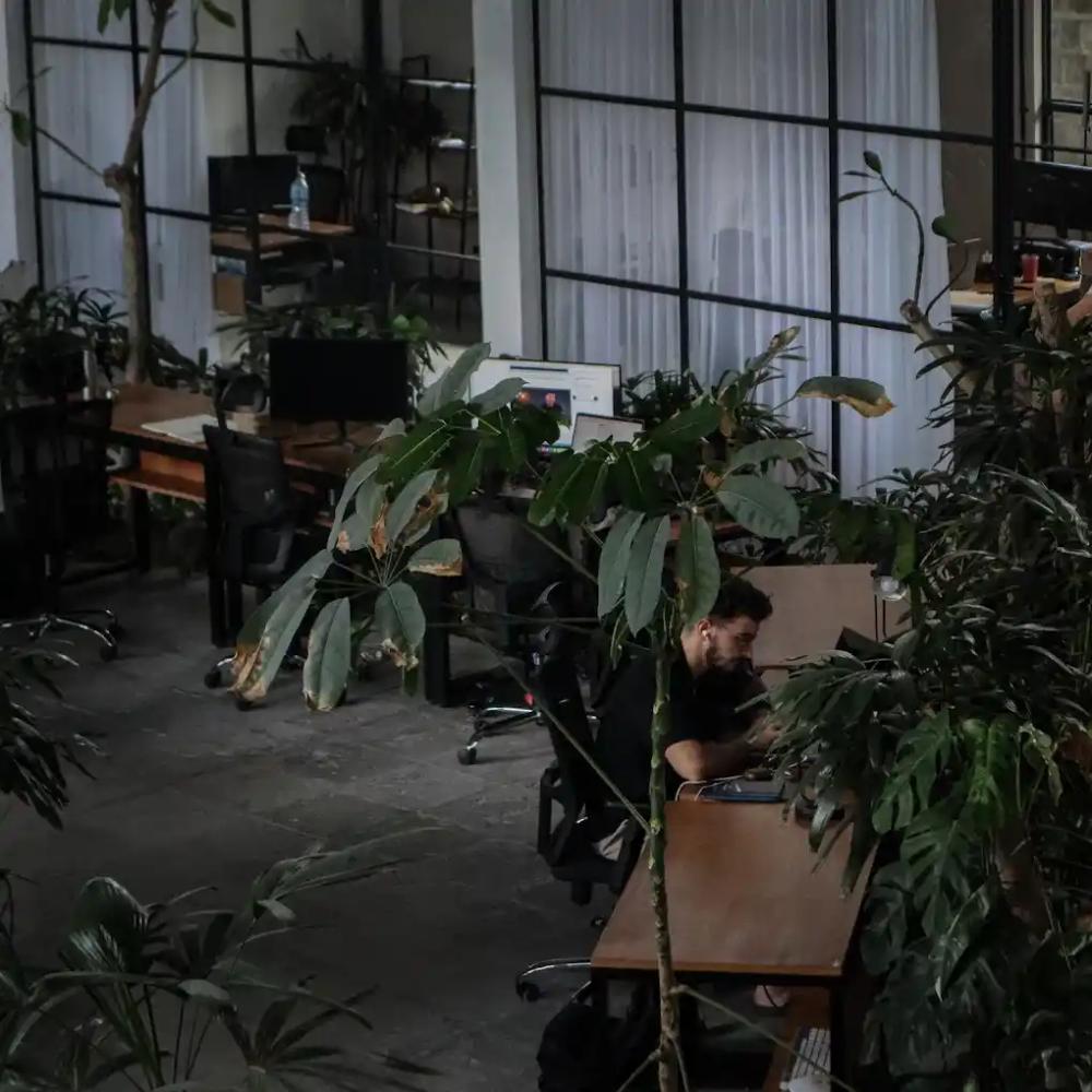 credit:-google-maps---nebula-entrepreneur-coworking-space