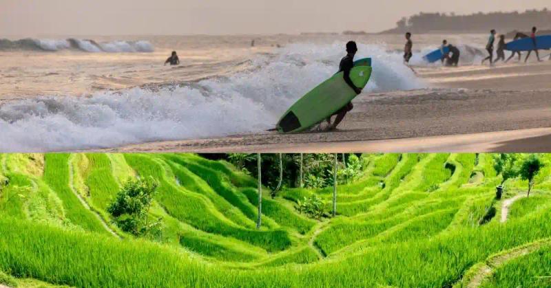 Canggu vs Ubud