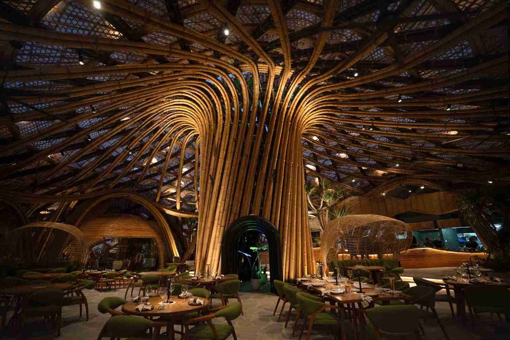 credit:-www.nuanu.com