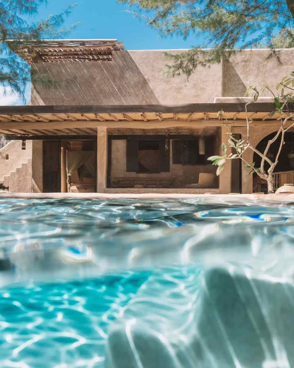 credit:-instagram-@jackjohns