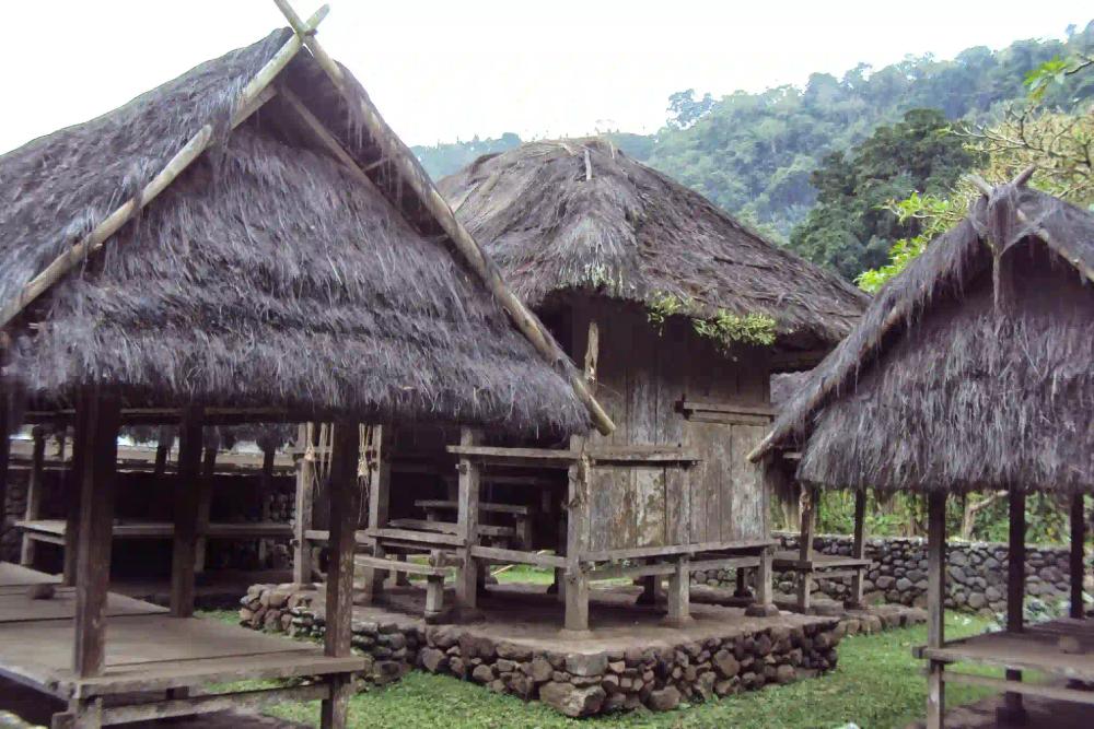 credit:-wikimedia-commons---dayaksibiriak