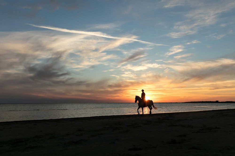 go-horse-riding-on-the-beach-at-sunset go-horse-riding-on-the-beach-at-sunset