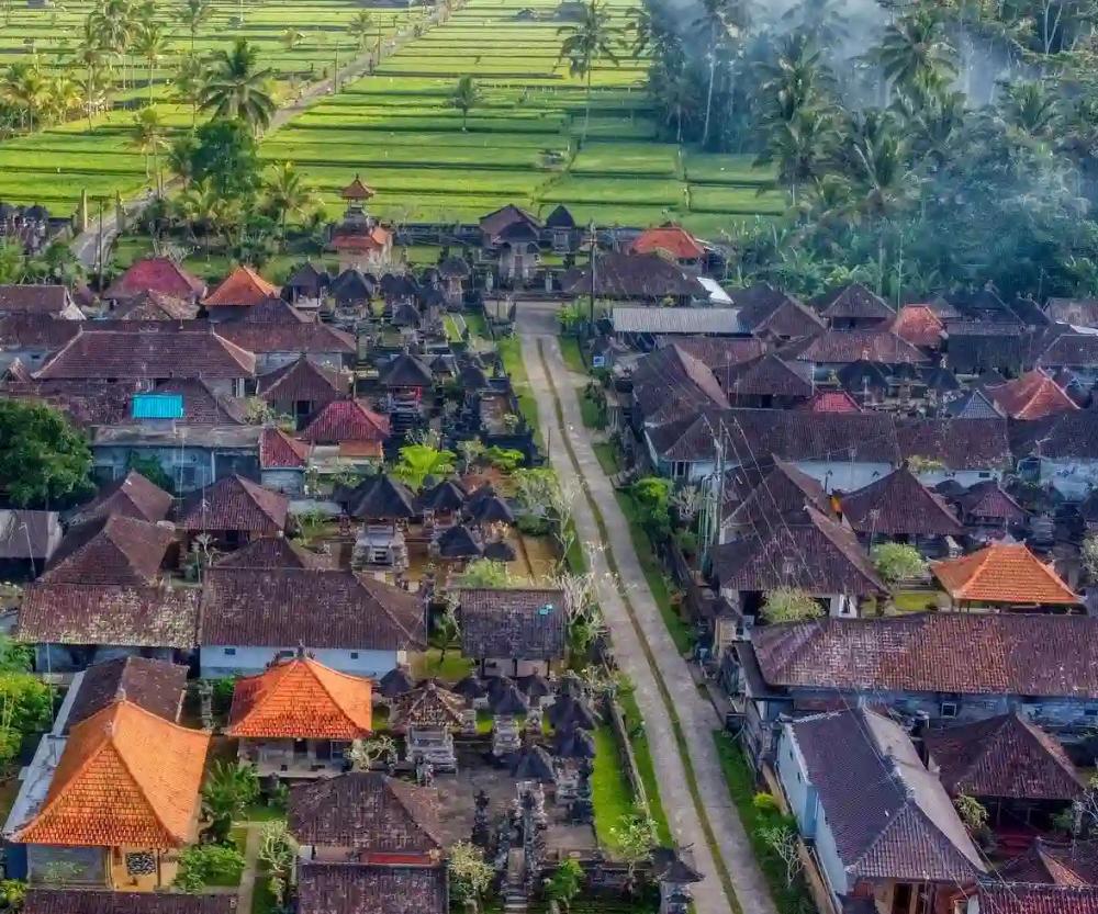 credit:-tarovillageexperience.com