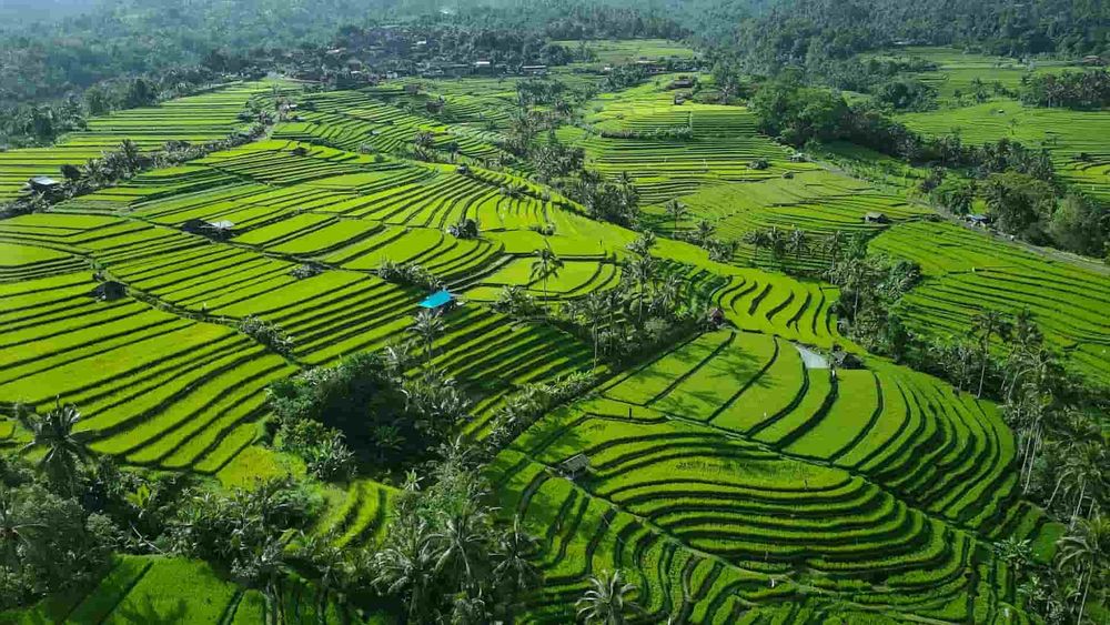 volcano-&-unesco-rice-fields-ride volcano-&-unesco-rice-fields-ride