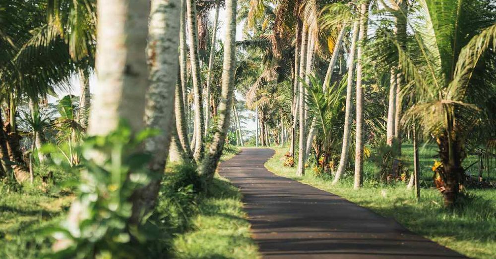 your-ultimate-scooter-route-guide-from-seminyak-to-ubud