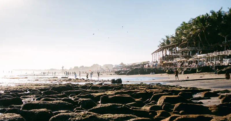 Why Is Canggu So Popular Among Bali Travelers