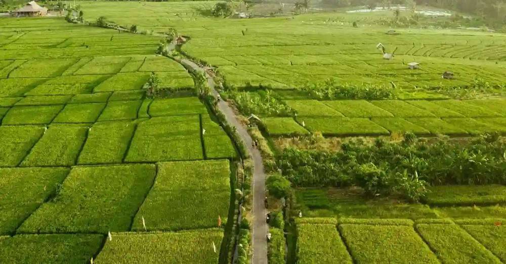 credit:-instagram-@cahyadialvin_