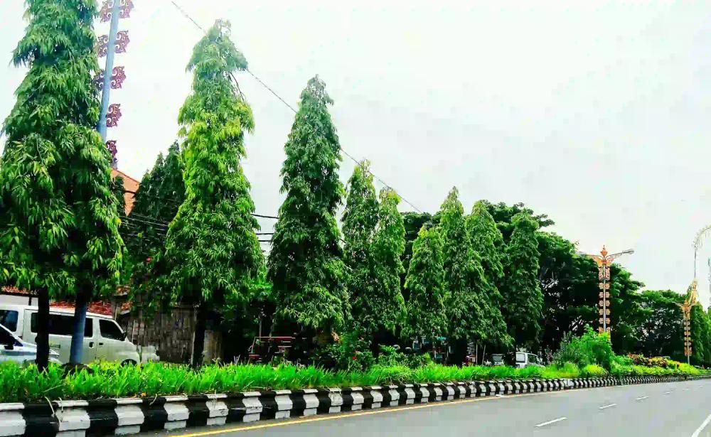 navigating-the-seminyak-to-denpasar-route navigating-the-seminyak-to-denpasar-route