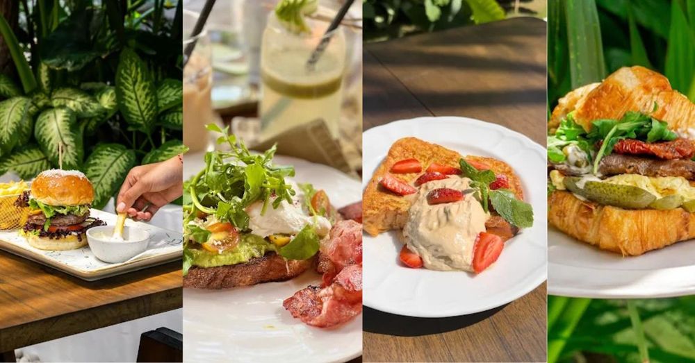 12-urban-cafe---breakfast-&-dinner