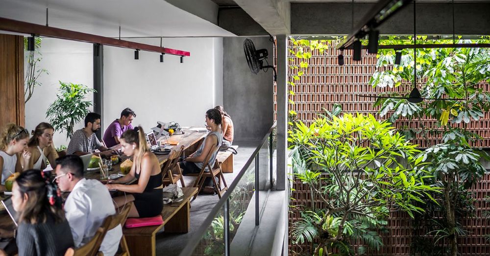 sari-kitchen-&-community sari-kitchen-&-community